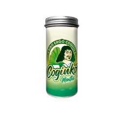 Coginko goût Menthe 15 jours