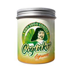 Coginko goût Agrumes 30 jours